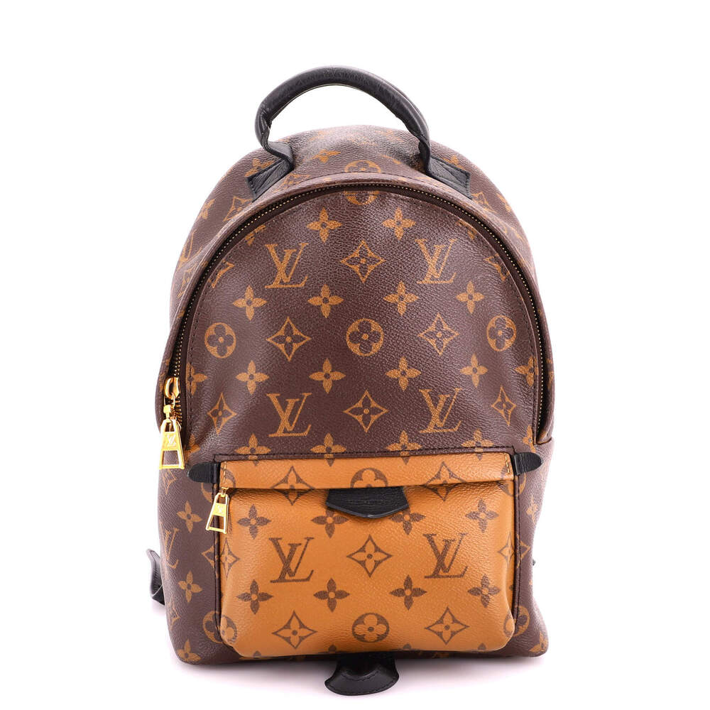 Louis Vuitton PM Palm Springs Backpack